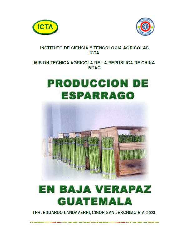 Producción de espárrago en Baja Verapaz Guatemala, tecnología agrícola generada por el ICTA